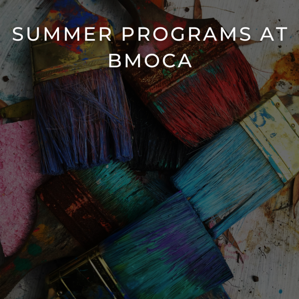 BMoCA (2)