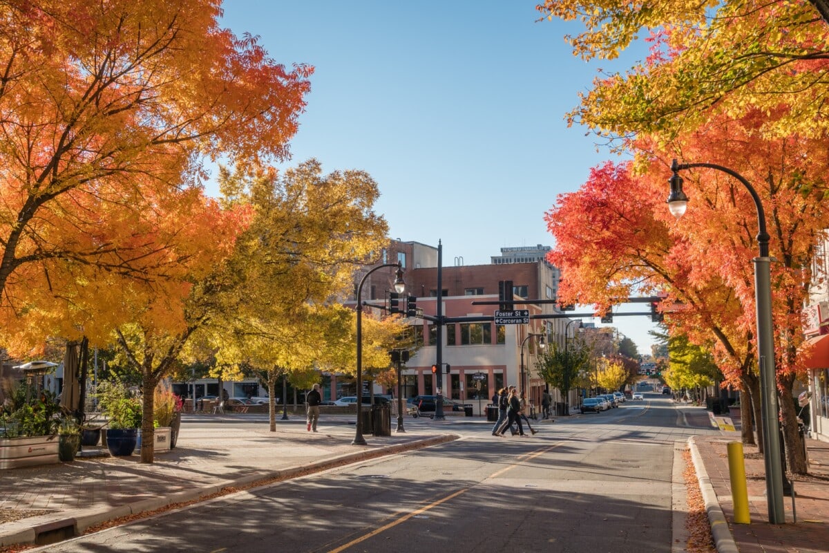 houses and apartments in durham nc