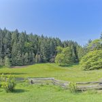 June 1, 2025 – Salt Spring...