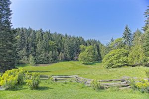 June 1, 2025 – Salt Spring...