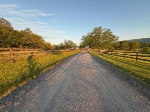 May’s Note 2025 List-to-Sell % Stories,...